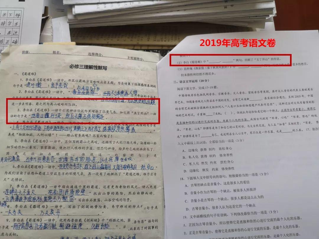 押中高考题、中考题？！best365体育入口中文版都会森林学校学校“硬核”实力圈粉无数！